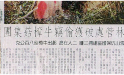 人工种植成果