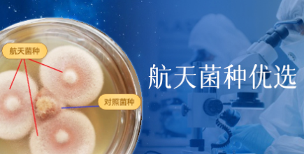 航天菌种优选