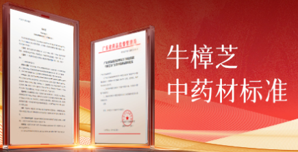 牛樟芝中药材标准