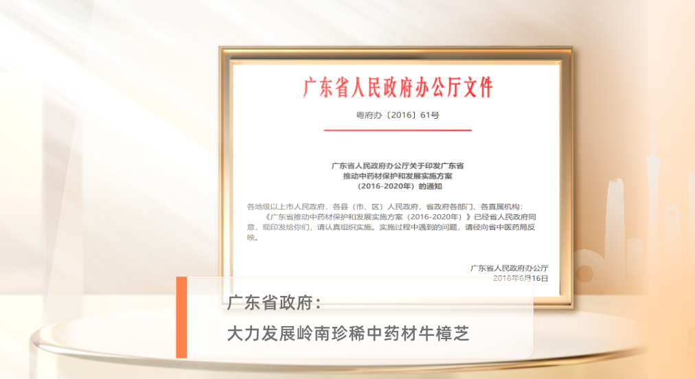 广东省政府支持发展 