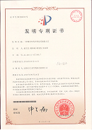 专利