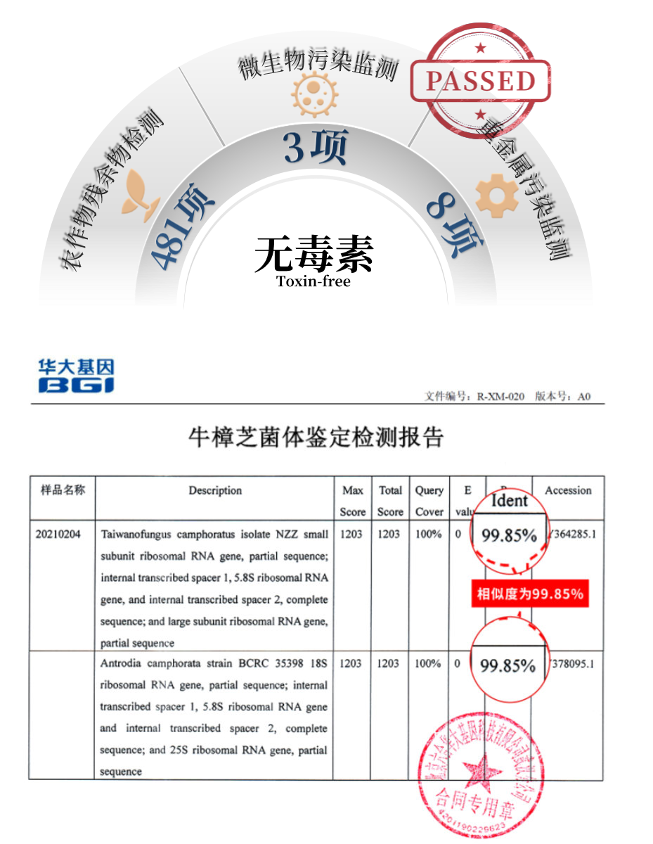 航天菌种优选