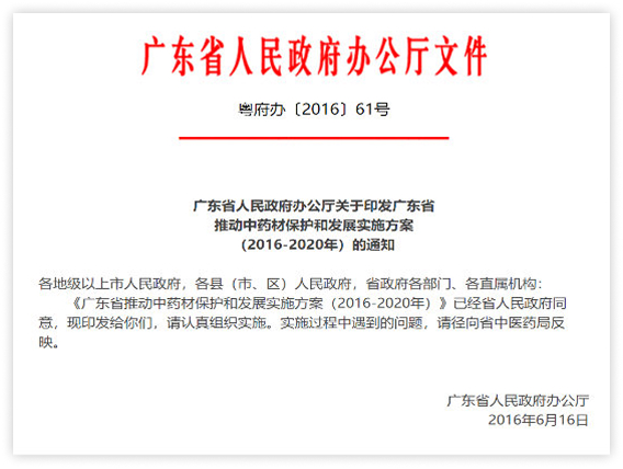 研究报告