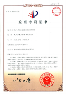 专利