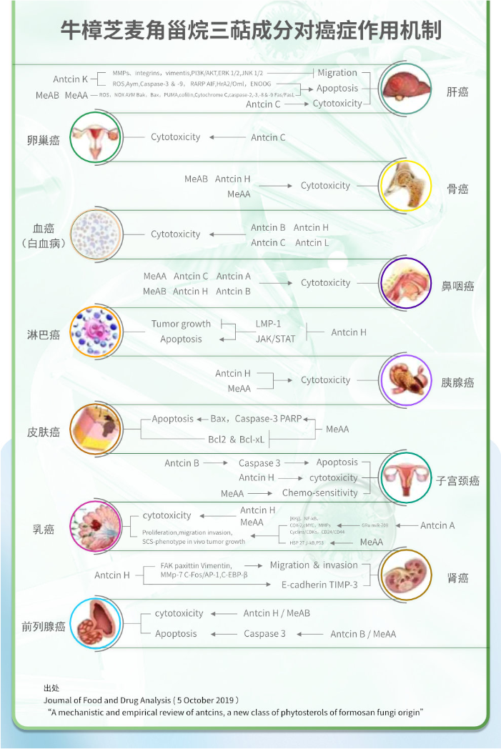 切片8