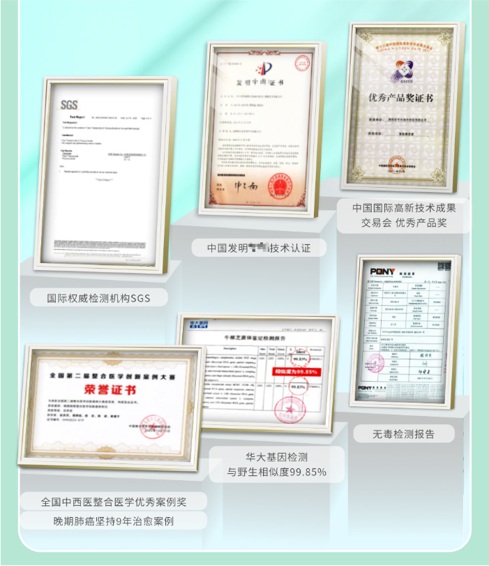 切片20