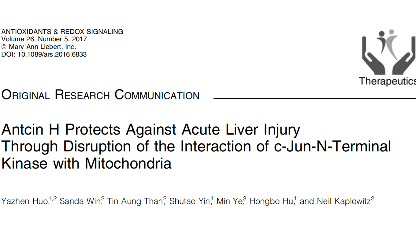 牛樟芝对急性肝损伤的预防