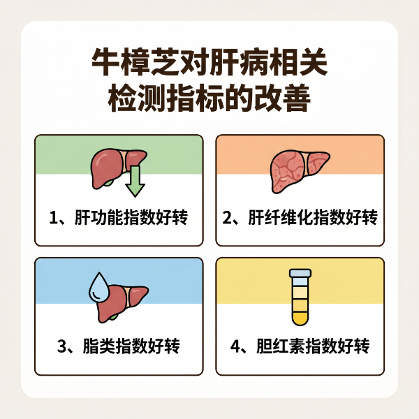 牛樟芝对肝病相关检测指标的改善