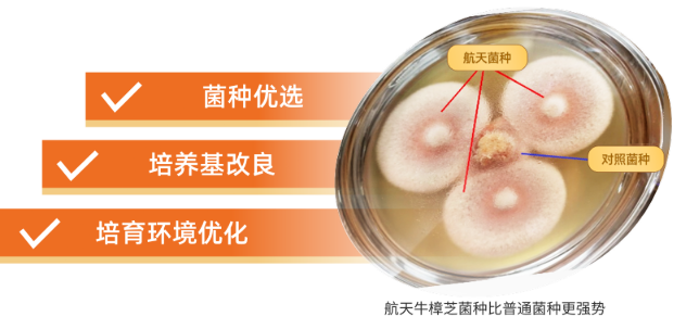 科学栽培二