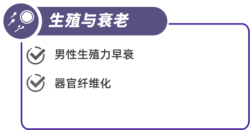 填补市场空白
