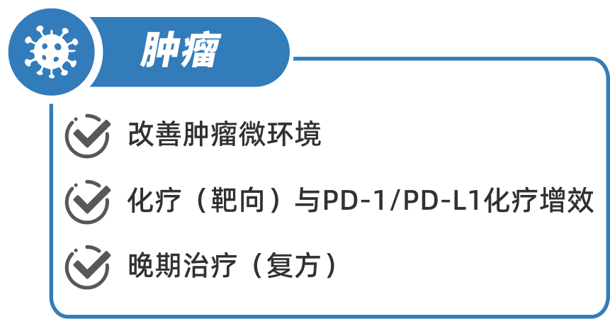 填补市场空白