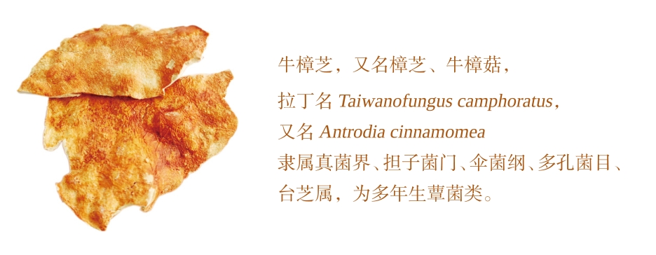 微信截图_20260509143534.png 微信截图_20260509143534.png